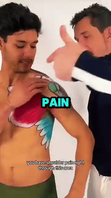 50% OFF TEMPORÄR  RecoverEase™