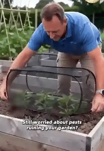 50% OFF TEMPORÄR  PlantGuard™