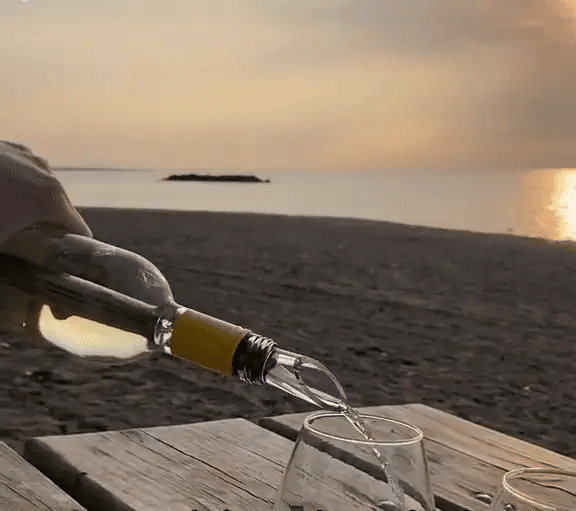 50% OFF TEMPORÄR  ChillRod™ - Vino Chill