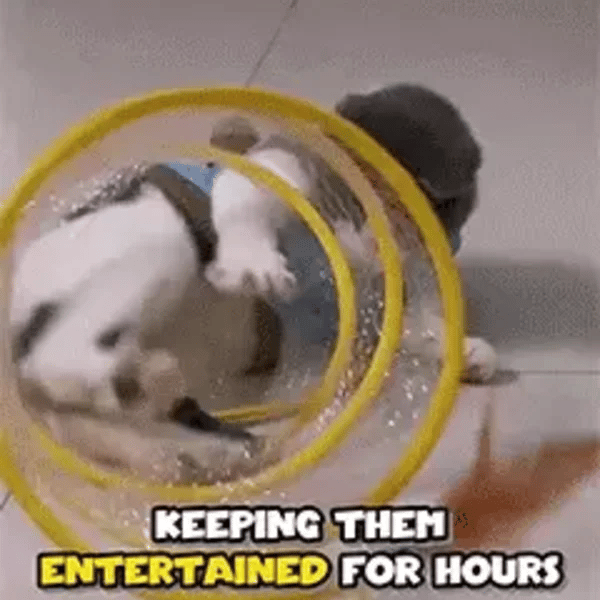 50% OFF TEMPORÄR  PurrSpiral™