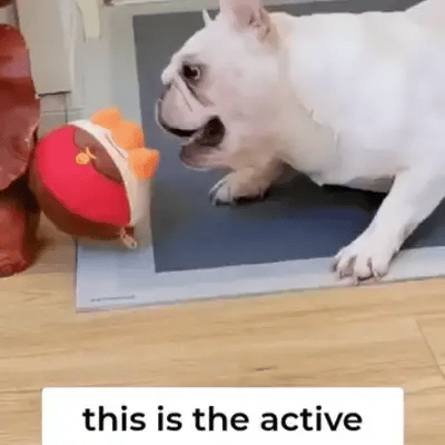 50% OFF TEMPORÄR  BouncePal™
