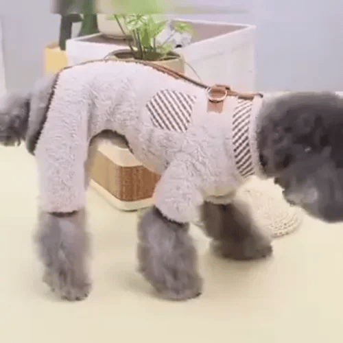 50% OFF TEMPORÄR  SnugPaw™
