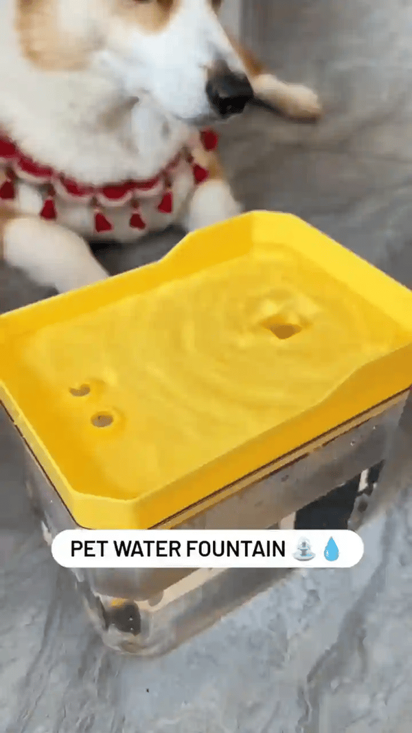 50% OFF TEMPORÄR  HydroPurr™