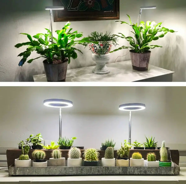 50% OFF TEMPORÄR  LumiSprout™