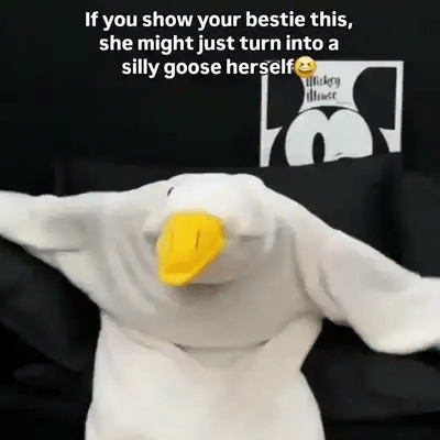 50% OFF TEMPORÄR  WaddleWear™