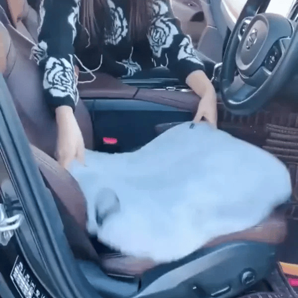 50% OFF TEMPORÄR  CozyRide™