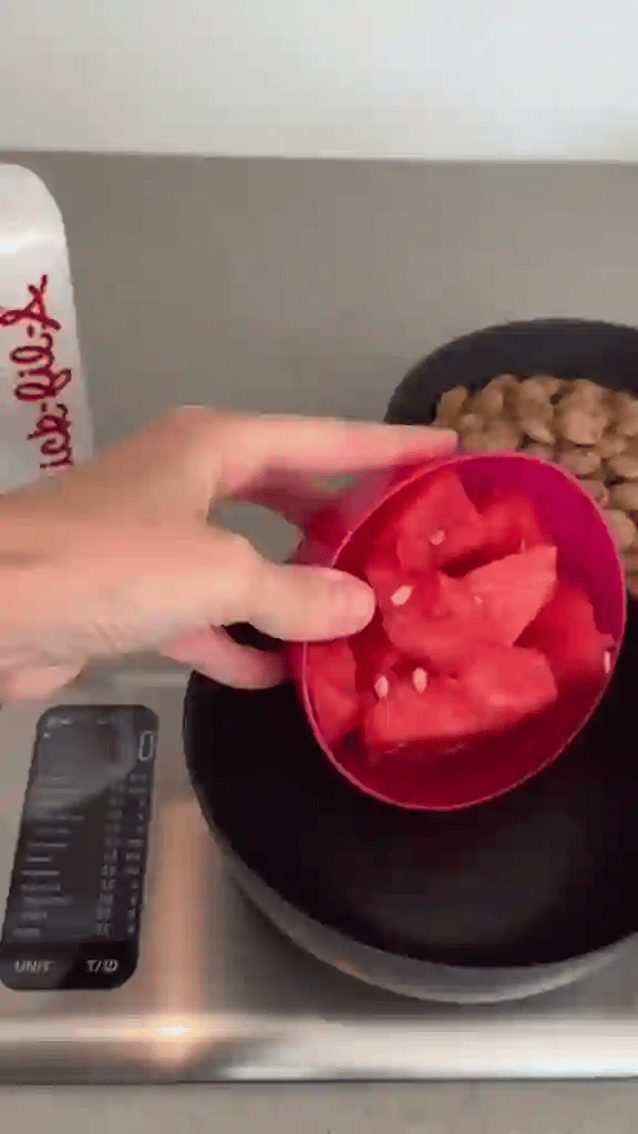 50% OFF TEMPORÄR  NutriScale™