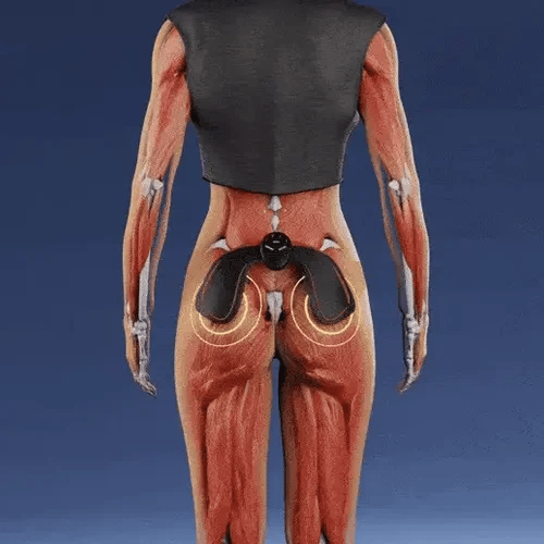 50% OFF TEMPORÄR  GlutePulse™